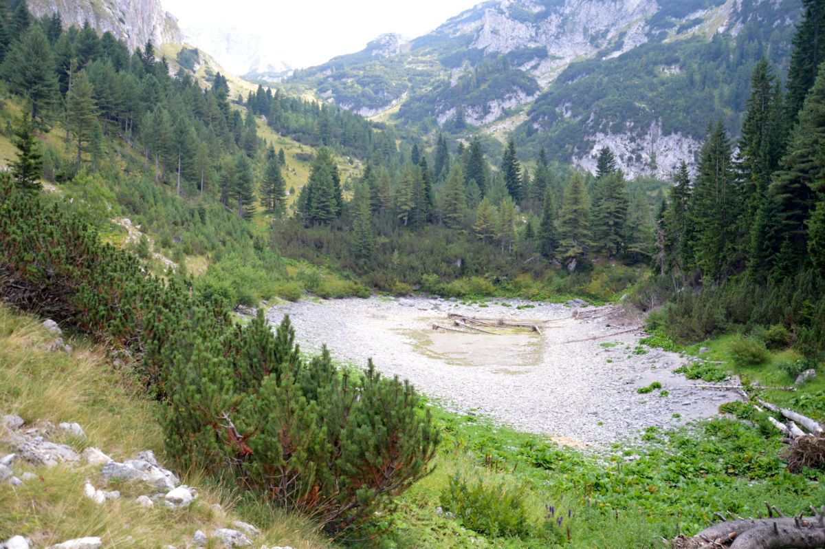 Nečinatské jezero, skoro vyschlé