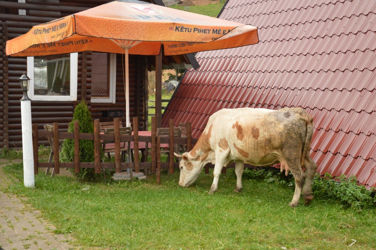 Bogë, turistické letovisko kosovského Prokletije, v restauraci