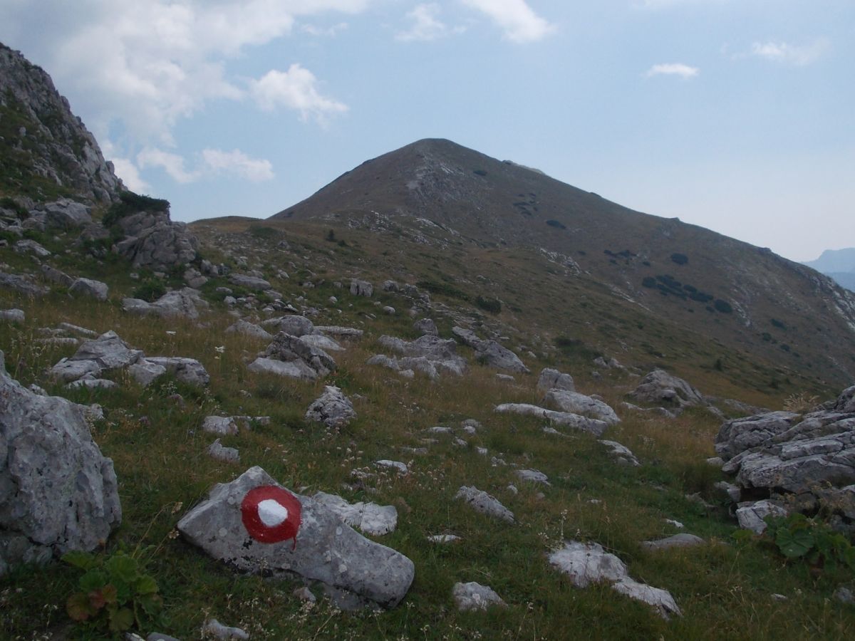 Planina Hajla, v nejvyšších partiích hřebene (značka)