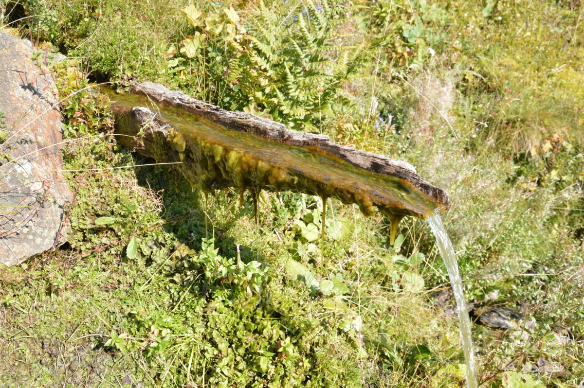 Černá Hora, údolí Zarunica, pramen