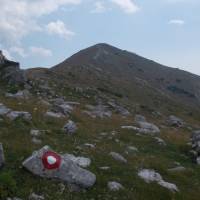 Popis: Planina Hajla, v nejvyšších partiích hřebene (značka)