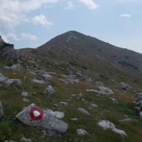 Popis: Planina Hajla, v nejvyšších partiích hřebene (značka)