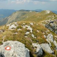 Popis: Planina Hajla, na nejvyšším stejnojmenném bodě Hajla, 2403 metrů