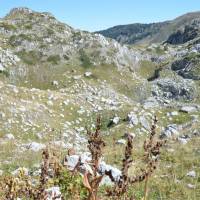 Popis: Černá Hora,  výstup na Zla Kolata, krasové útvary