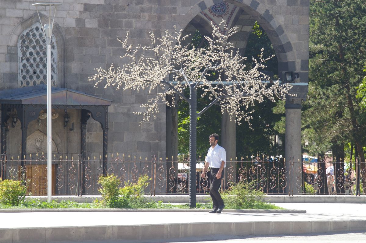 Erzurum, umělý strom