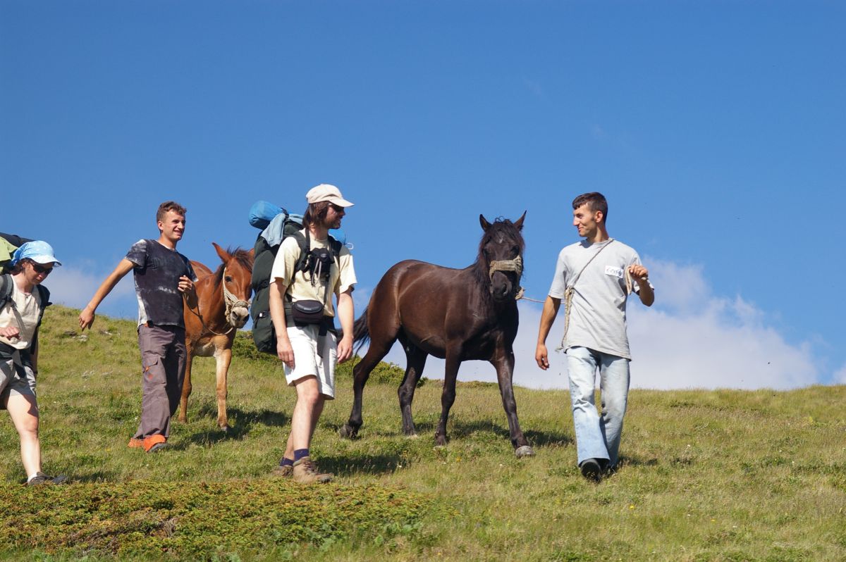 Šar planina, Bob a koně