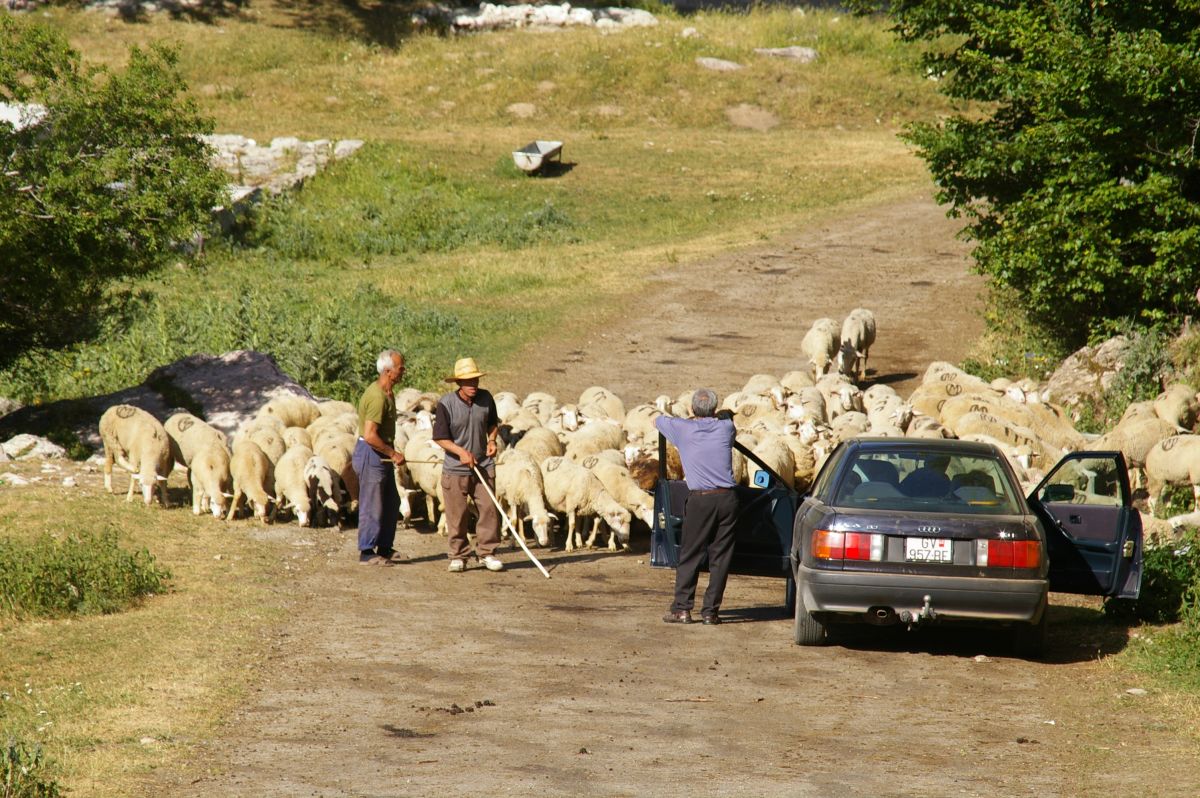 Mavrovo