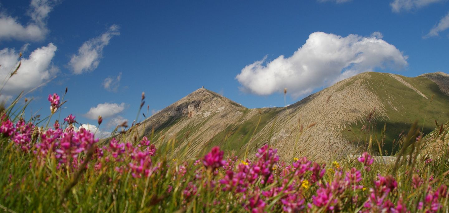 Šar planina, pohled na Titov vrv