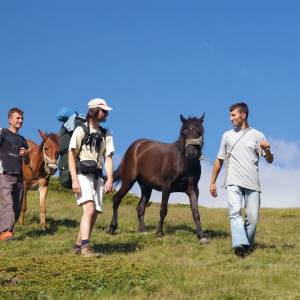 Šar planina, Bob a koně