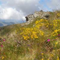 Popis: Šar planina