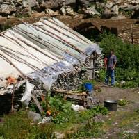 Popis: Šar planina, salaš