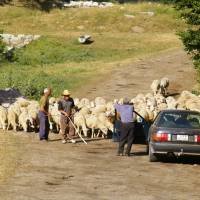 Popis: Mavrovo