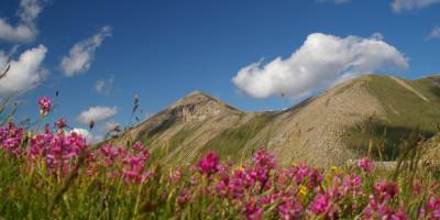 Popis: Šar planina, pohled na Titov vrv