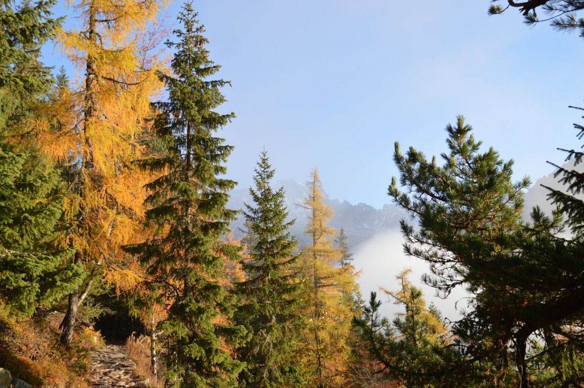 Cestou na Popradské pleso