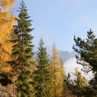 Popis: Cestou na Popradské pleso