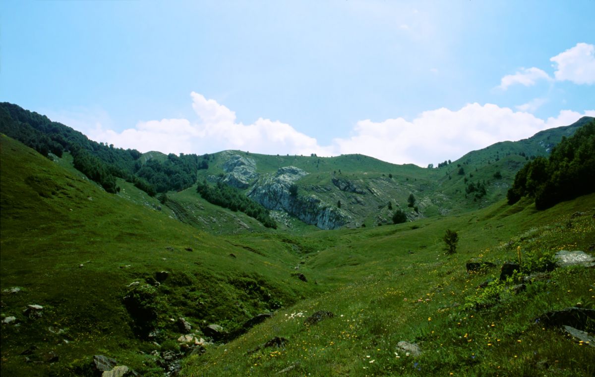 Údolíčko pod hřebenem Volušnica - výlet na lehko