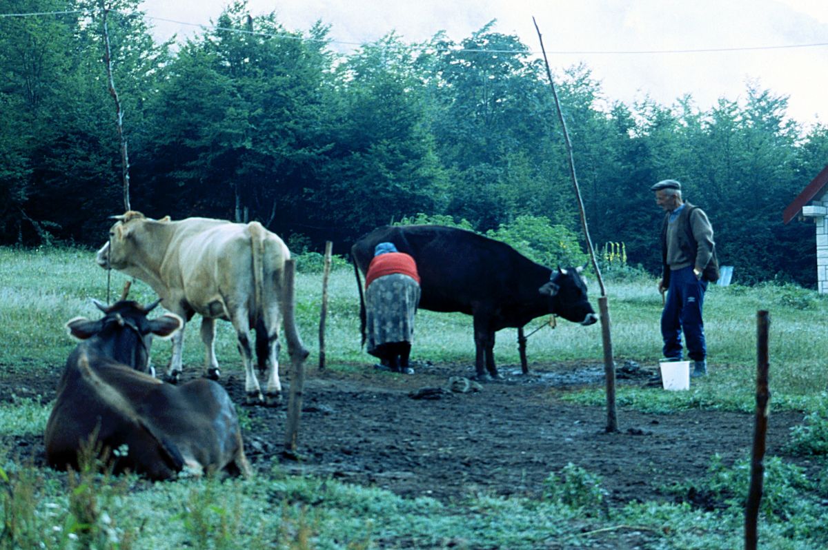 Grbaja, zemědělci v údolí