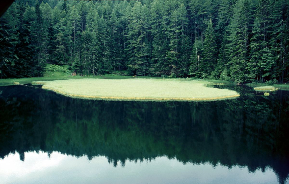 Visitor, Visitorské jezero