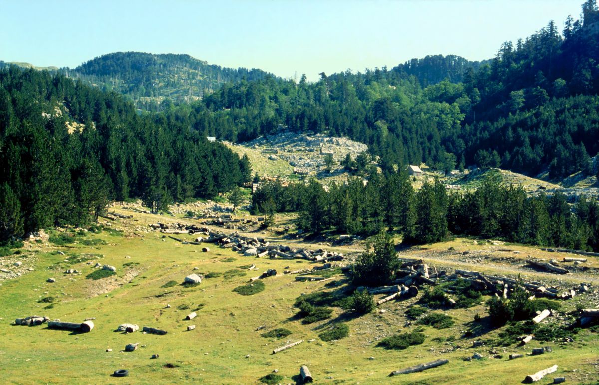 Pohoří Maganik (část Moračských hor), u salaše Rekočica (1520 m)