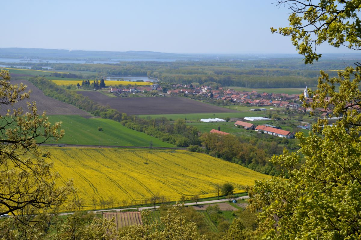 Pouzdřany ze stepi