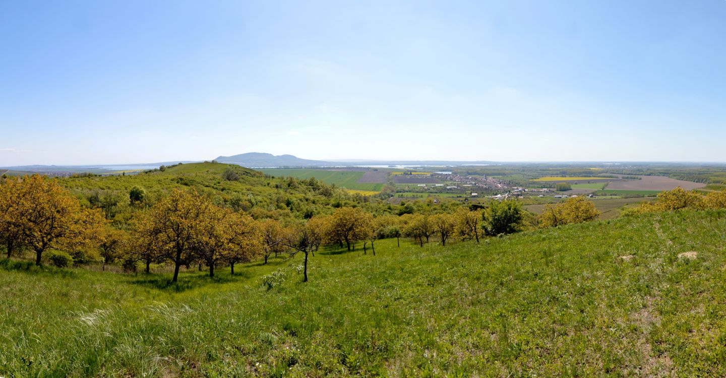 Panoráma ze stepi, vlevo vzadu Pálava