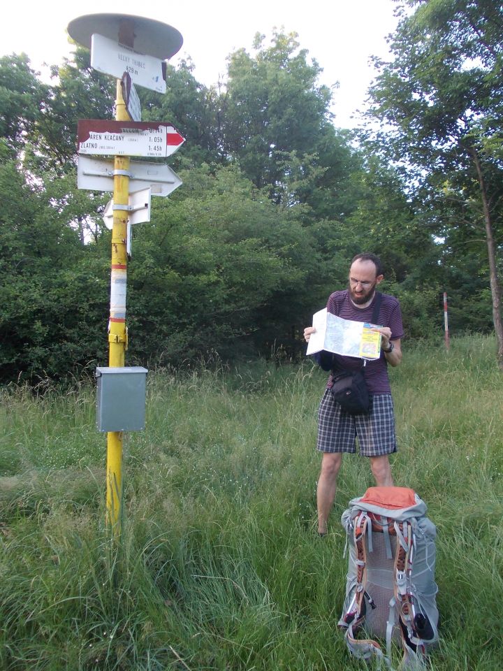 Na Velkém Tribeči (830 m), nejvyšší hoře pohoří. Všude kolem stromy, místo je zcela bez výhledů