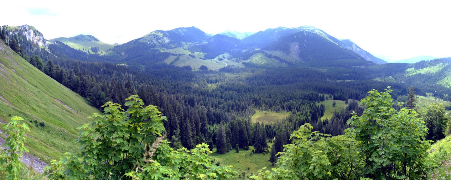 Obrovský krasový závrt na kraji masivu Schneealpe