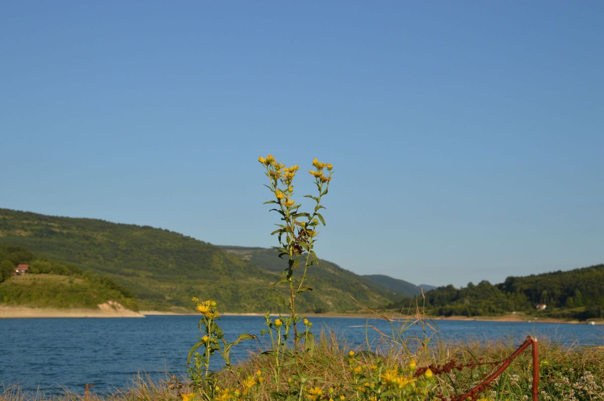Zavojsko jezero