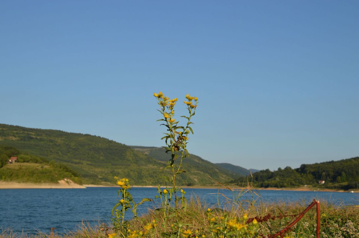 Zavojsko jezero