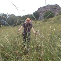 Popis: Staré pole (v 1500 m!), nyní zarostlé
