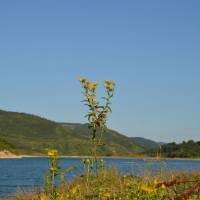 Popis: Zavojsko jezero