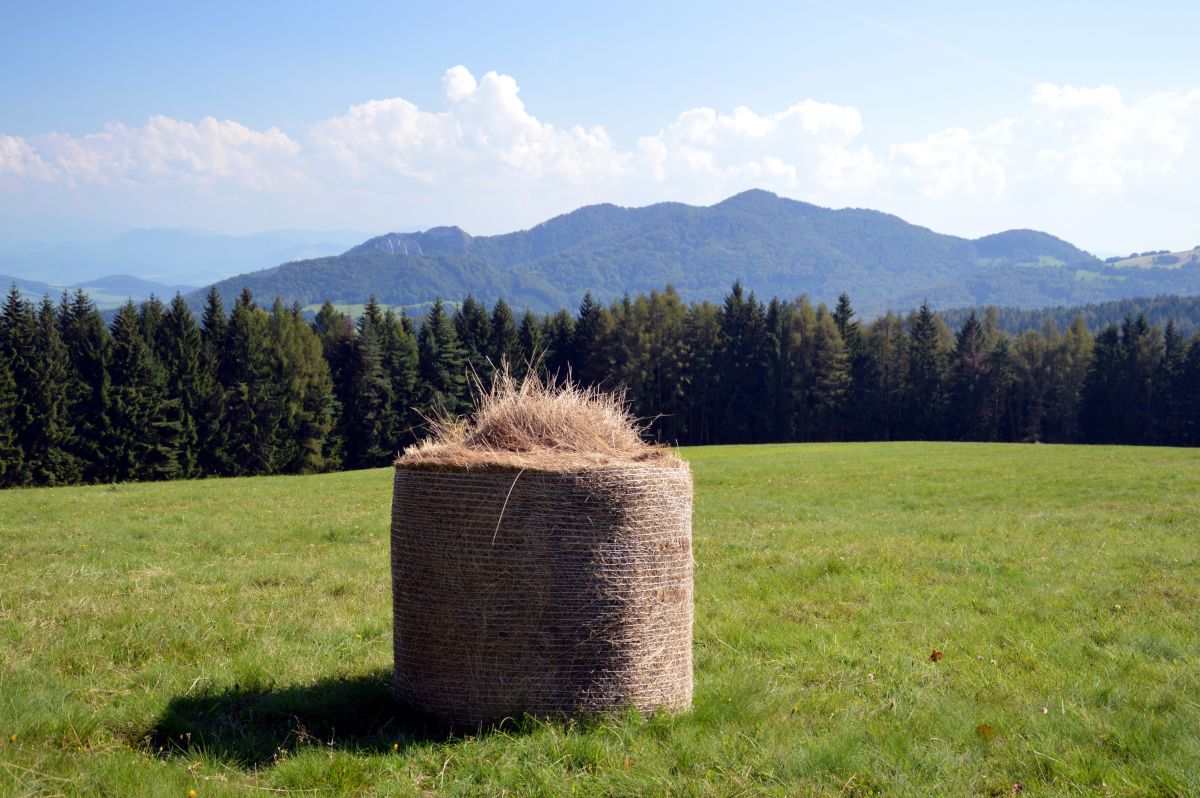 Pohled na Vršatcké bradla