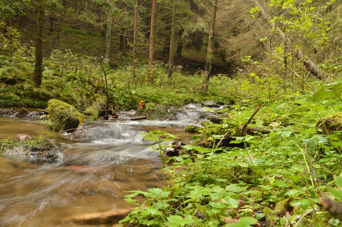 Pěkný potok (Wunderbach)