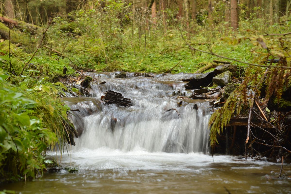 Pěkný potok (Wunderbach); čas 1/10 s.