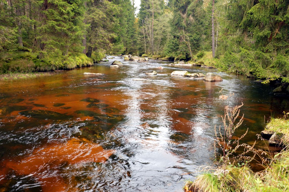 Křemelná