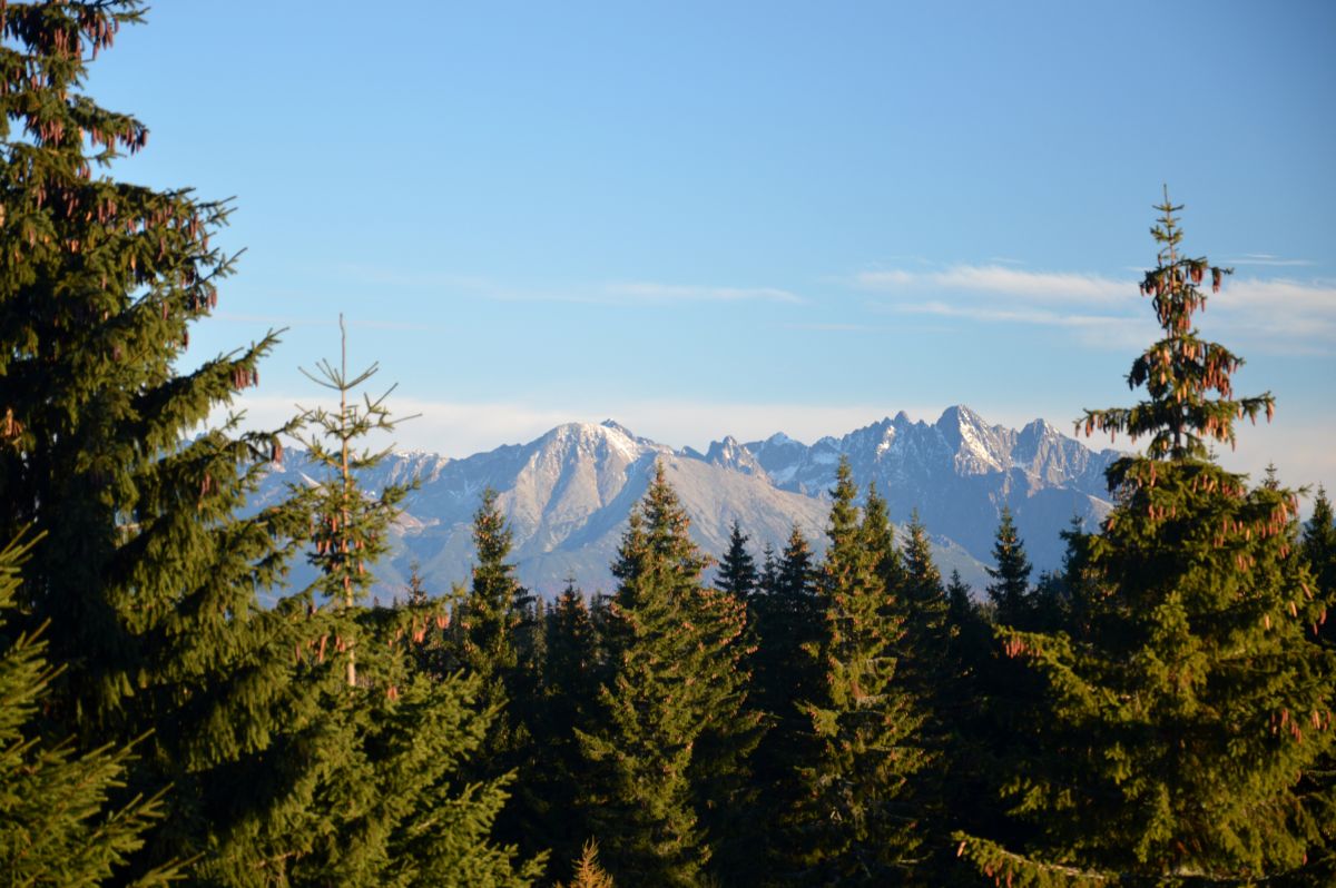 První výhled na Vysoké Tatry od Predné hoľe