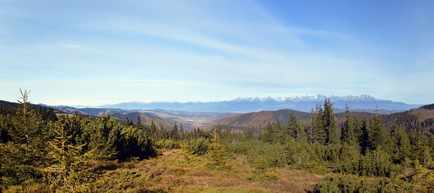 Vysoké Tatry zpod Kráľovy hole