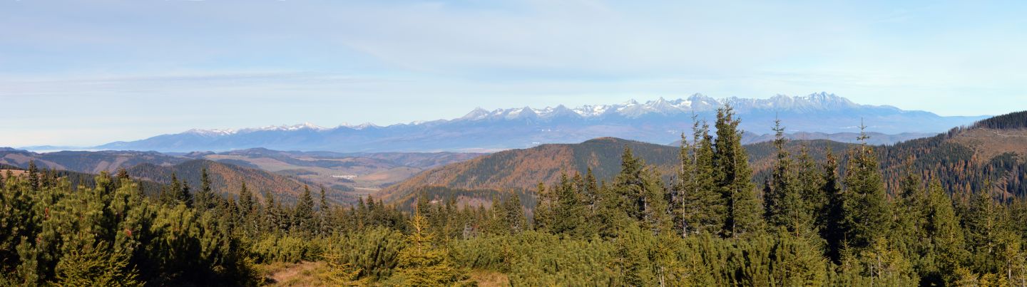 Vysoké Tatry zpod Kráľovy hole