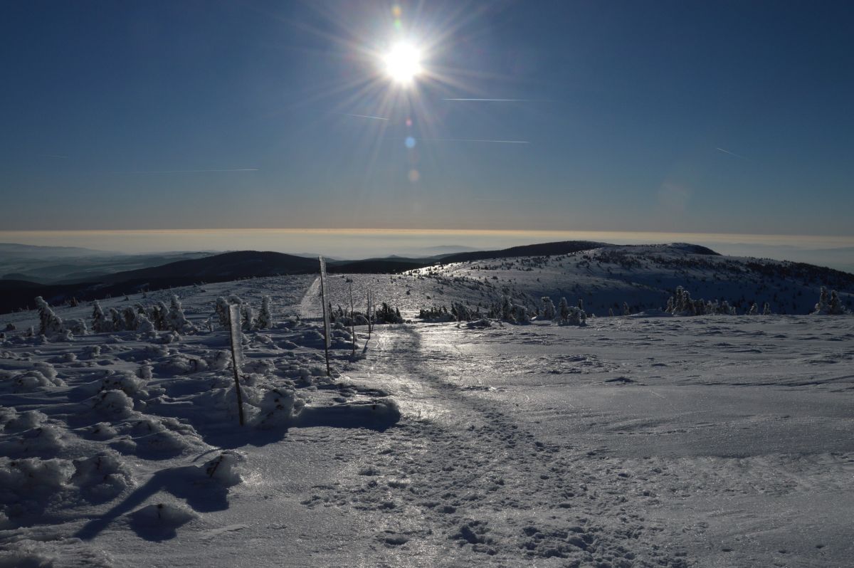 Jeseníky, Vysoká hole