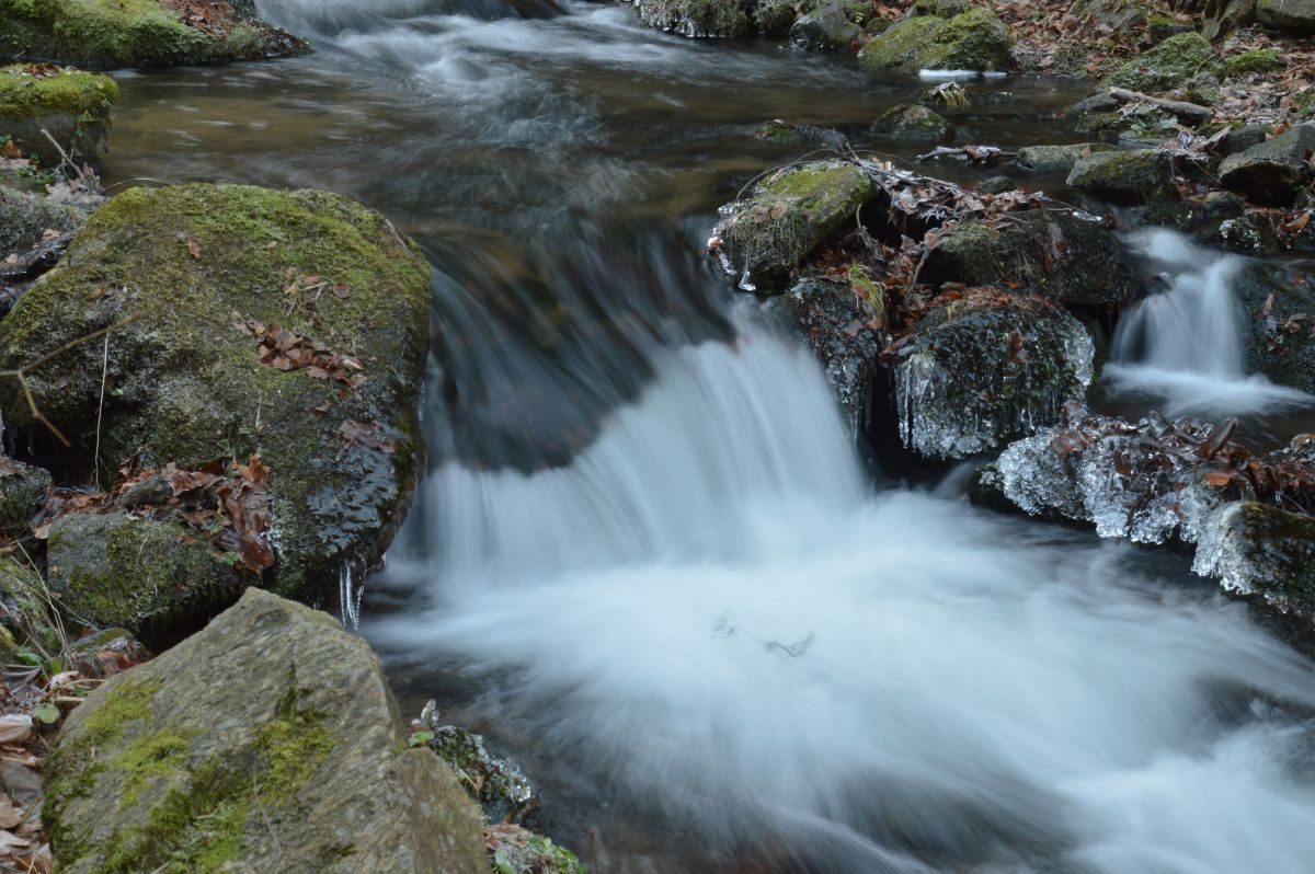 Rychlebky, Račí potok