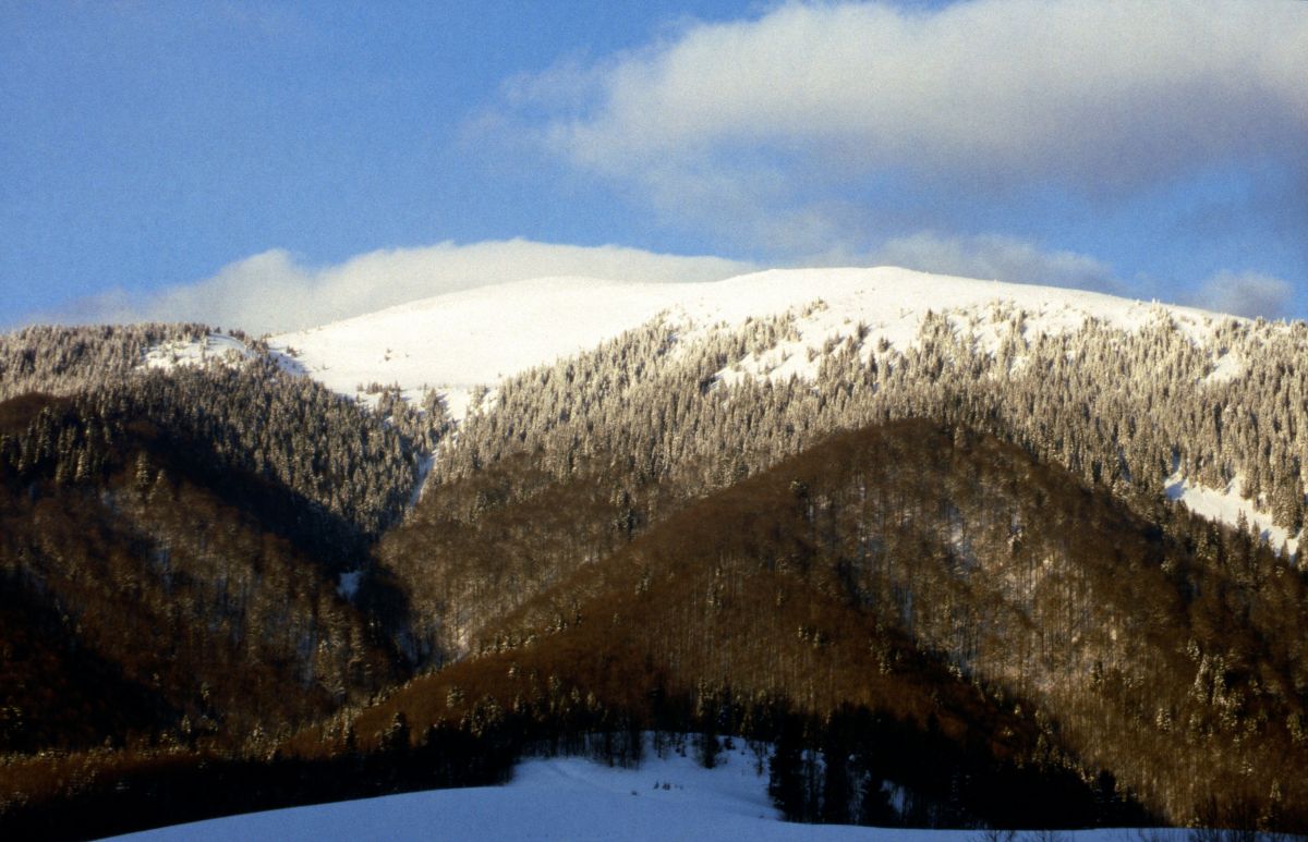 z údolí pohled na polonunu Krásná