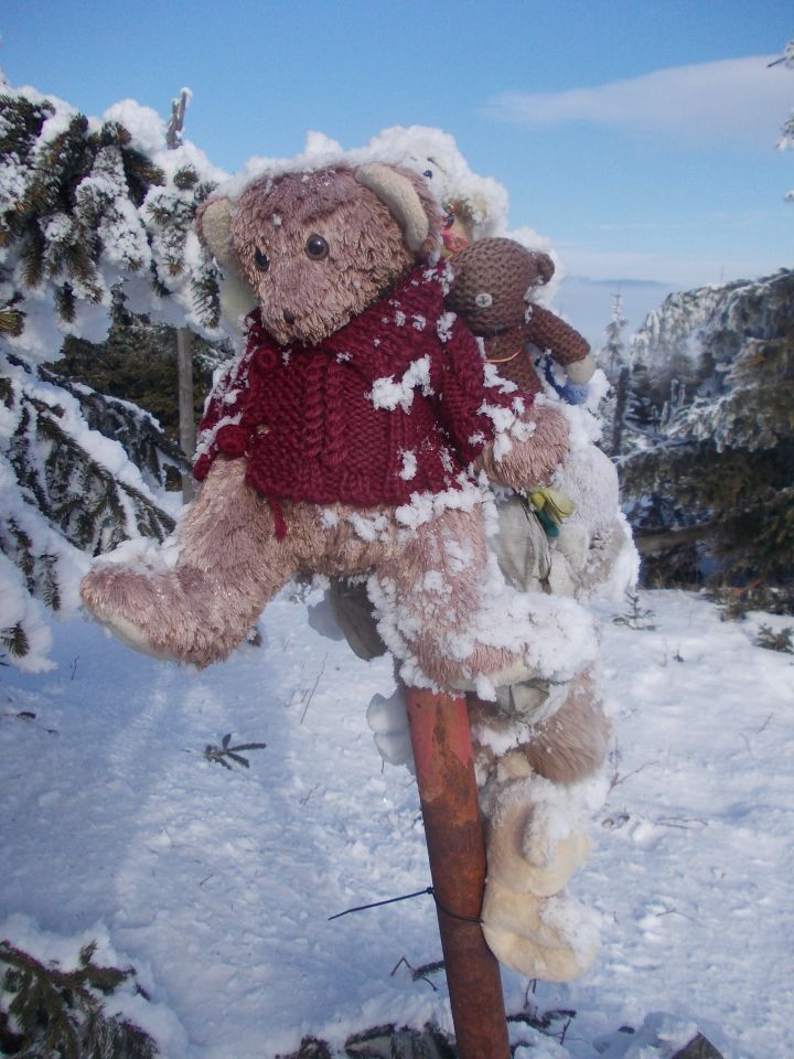 Na vrcholu Medvědího vrchu (1216 m), nejvyšším kopci Medvědské hornatiny, části Hrubého Jeseníku.