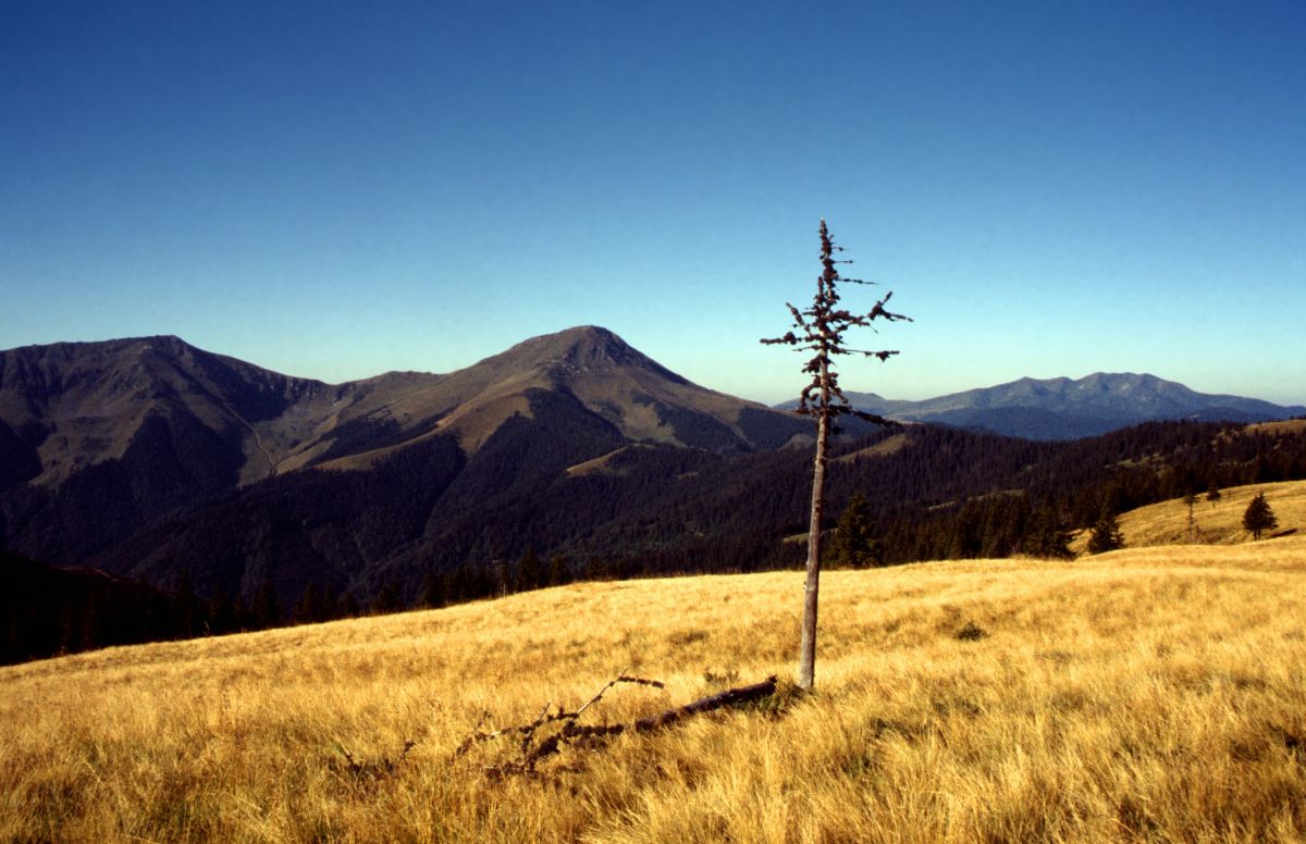 Maramureş ­­­– asi pohled na horu Fărcăul, nejvyšší horu pohoří