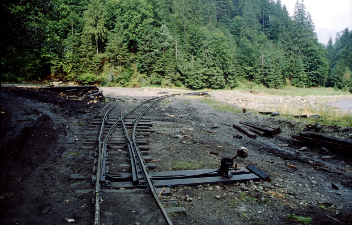 Maramureş ­­­– lesní železnice (výhybky) v údolí Apa (Vaser)