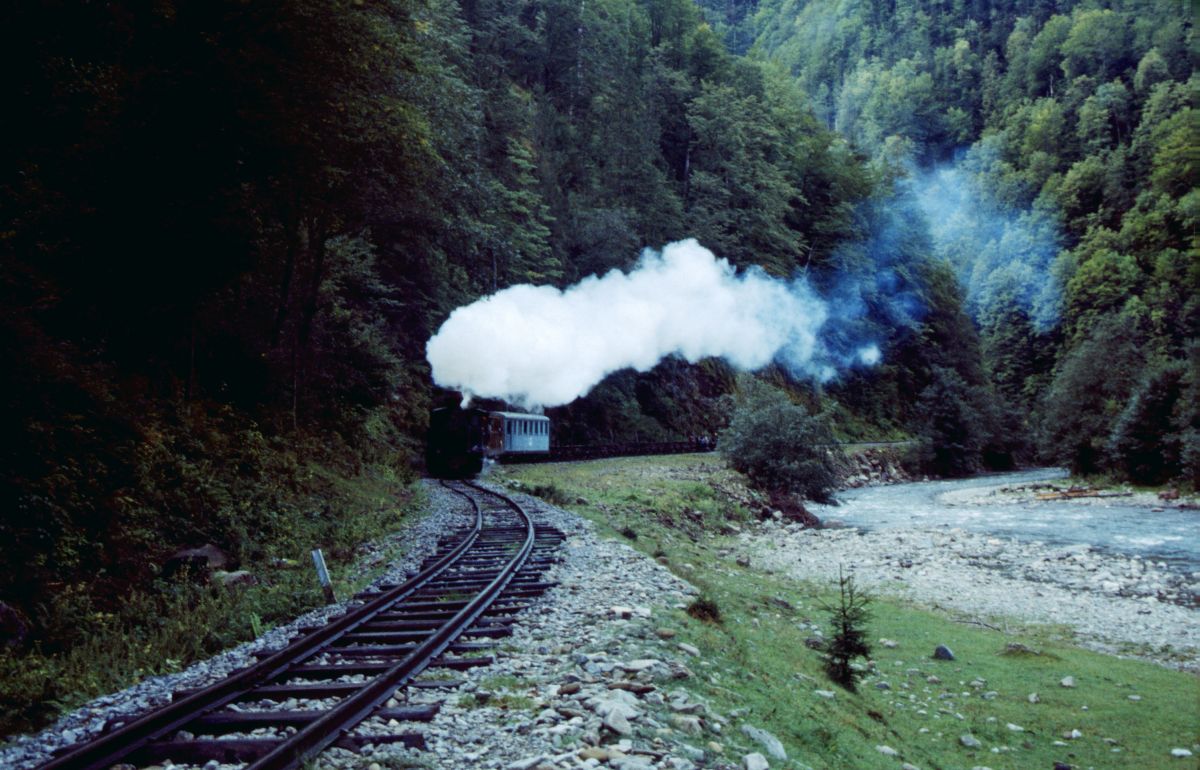 Maramureş ­­­– lesní železnice v údolí Apa (Vaser) - vlak