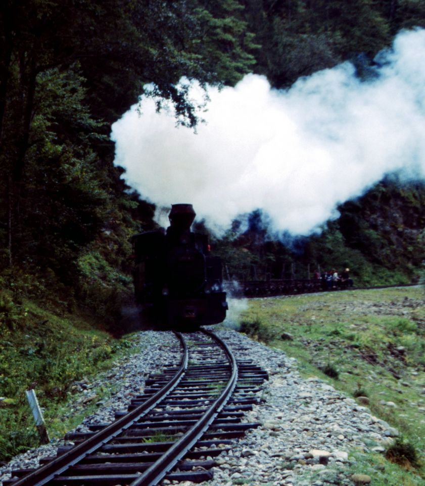 Maramureş ­­­– lesní železnice v údolí Apa (Vaser) - vlak