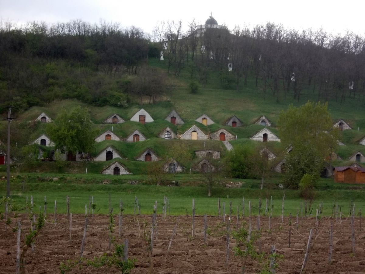 Ves Hercekút, vinné skepy (Tokajská oblast)