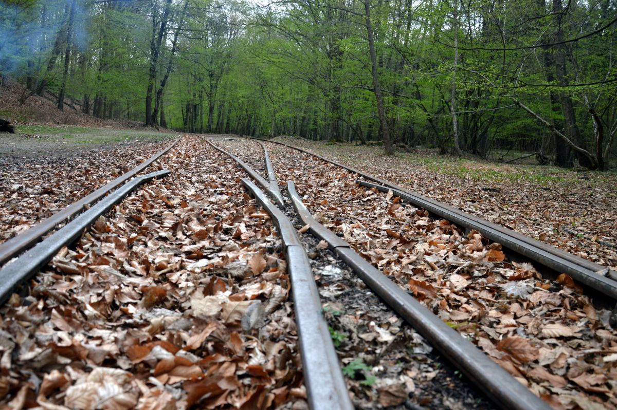 Úzkokolejná železnice Palháza-Rostaló, na konečné ve stanici Rostaló