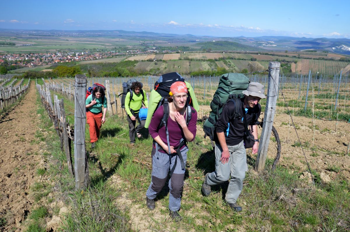 Výstup vinicí na horu Tokaj (Tokaji-hegy)