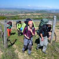 Popis: Výstup vinicí na horu Tokaj (Tokaji-hegy)